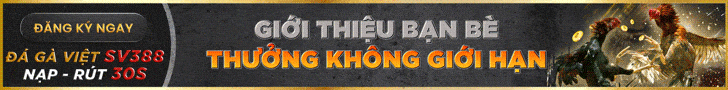 thomo67 đá gà bj88
