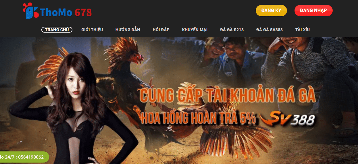 THOMO678.COM