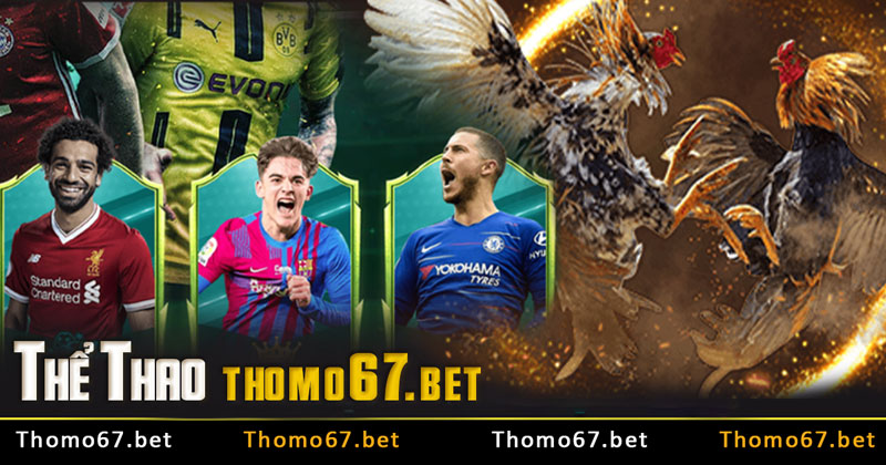 Thomo67 - cá cược thể thao cùng mùa giải Uero 2024 Sôi Động